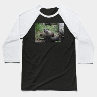 Funny Otter Baseball T-Shirt